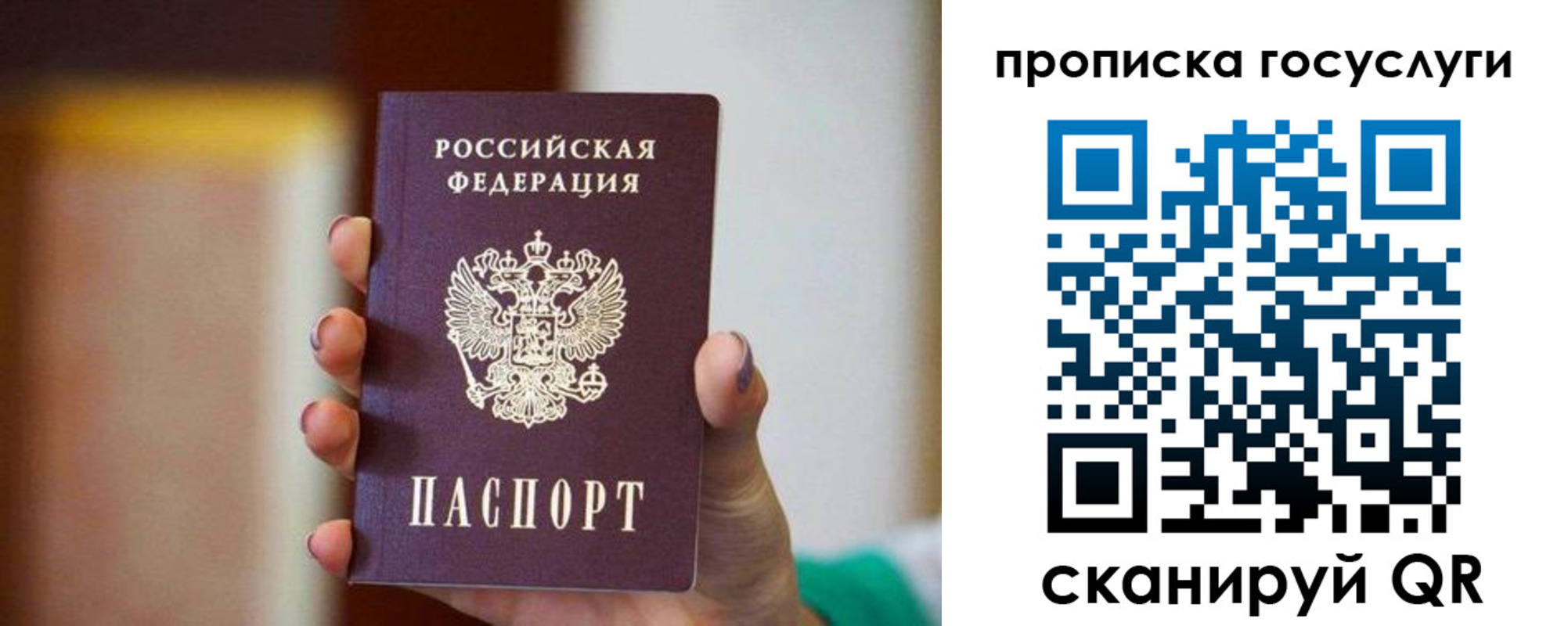 миграционный учет в Алексеевке
